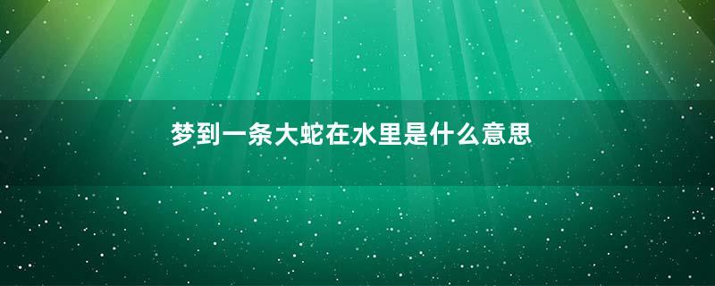 梦到一条大蛇在水里是什么意思