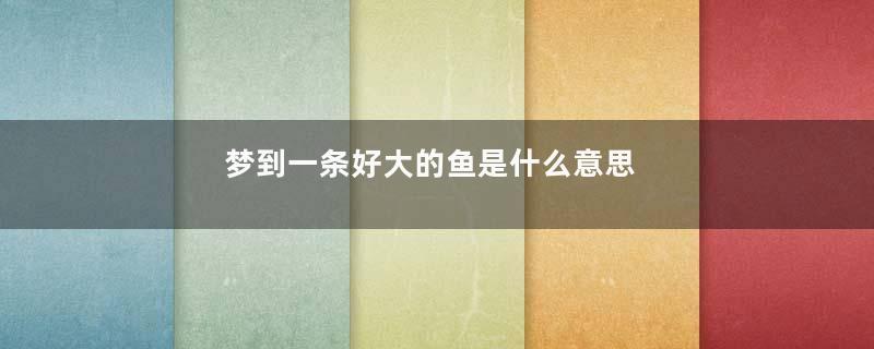 梦到一条好大的鱼是什么意思