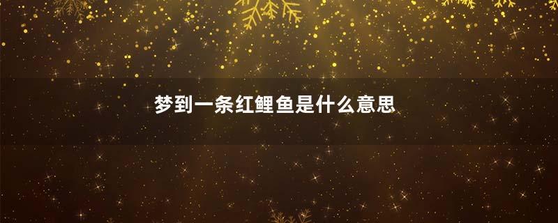 梦到一条红鲤鱼是什么意思