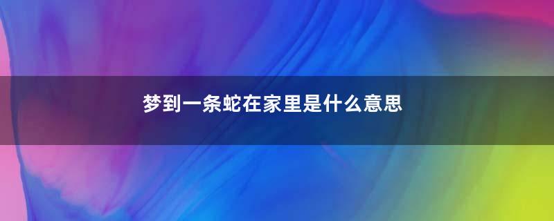 梦到一条蛇在家里是什么意思