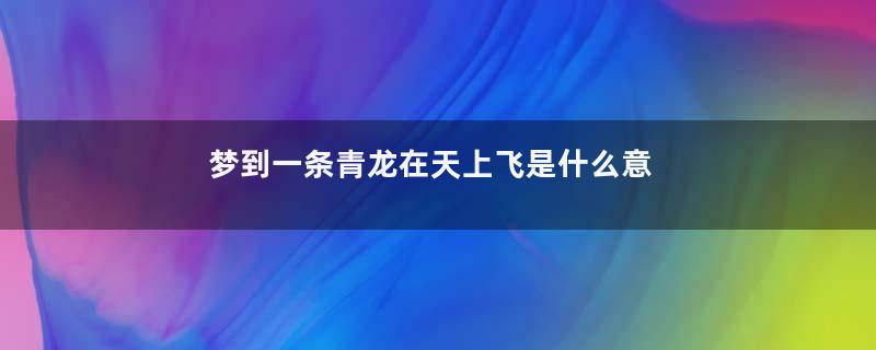 梦到一条青龙在天上飞是什么意思