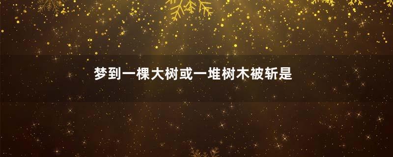 梦到一棵大树或一堆树木被斩是什么意思
