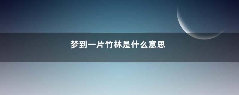 梦到一片竹林是什么意思