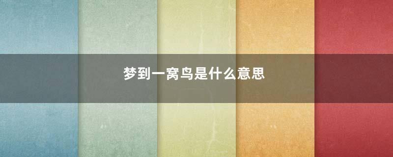 梦到一窝鸟是什么意思