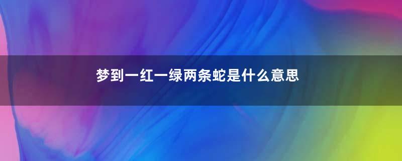 梦到一红一绿两条蛇是什么意思