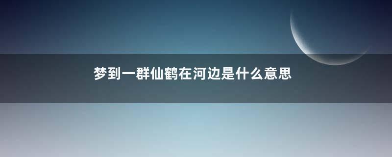 梦到一群仙鹤在河边是什么意思