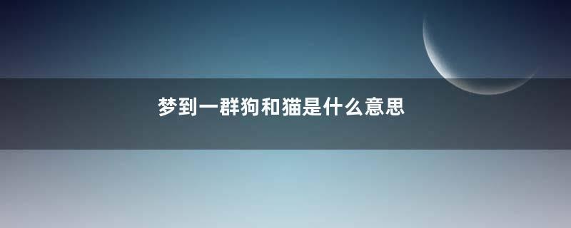 梦到一群狗和猫是什么意思