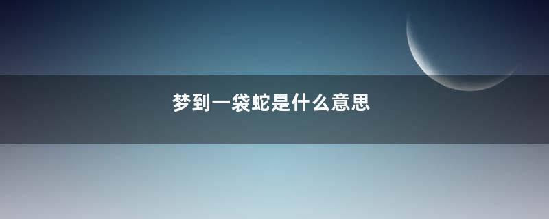 梦到一袋蛇是什么意思