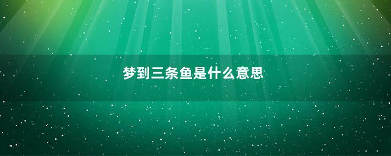 梦到三条鱼是什么意思