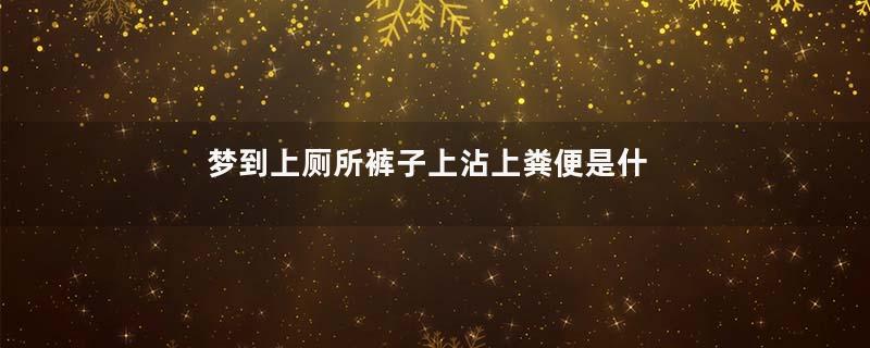 梦到上厕所裤子上沾上粪便是什么意思