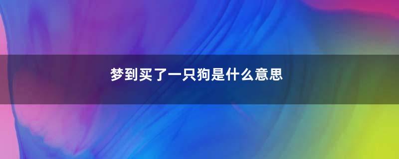梦到买了一只狗是什么意思