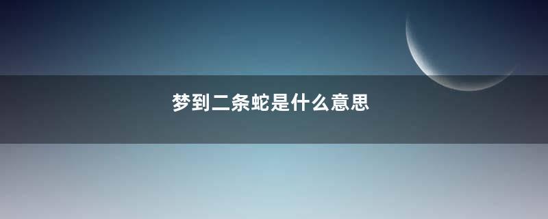 梦到二条蛇是什么意思