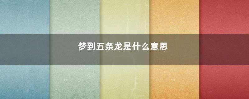梦到五条龙是什么意思