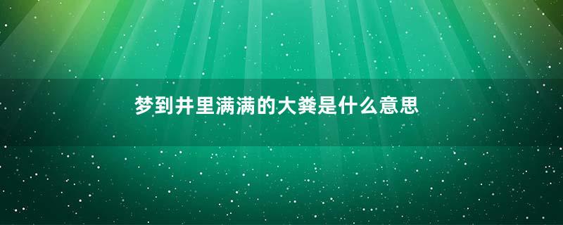 梦到井里满满的大粪是什么意思