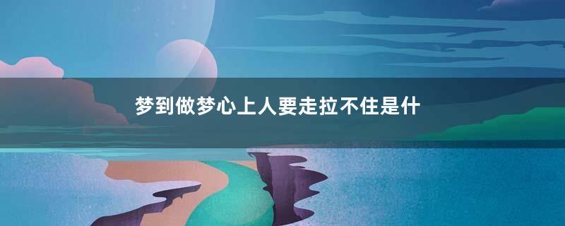 梦到做梦心上人要走拉不住是什么意思