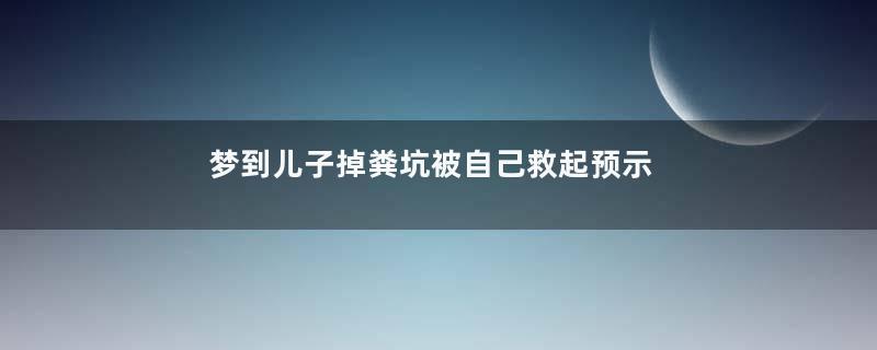 梦到儿子掉粪坑被自己救起预示着什么是什么意思