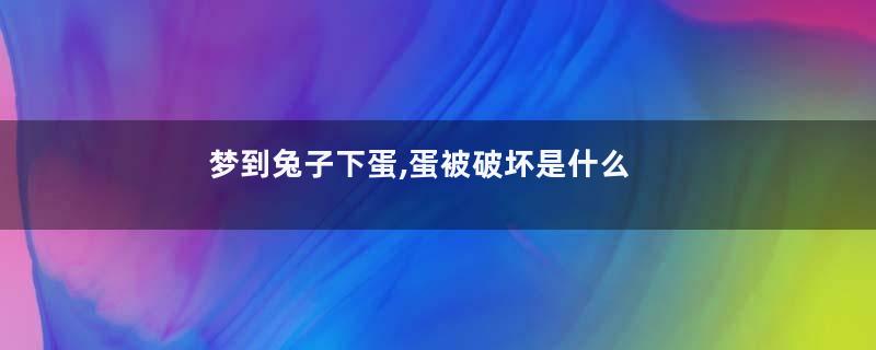 梦到兔子下蛋,蛋被破坏是什么意思