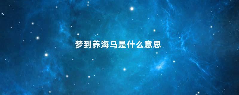 梦到养海马是什么意思