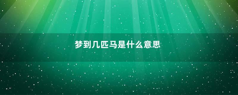 梦到几匹马是什么意思