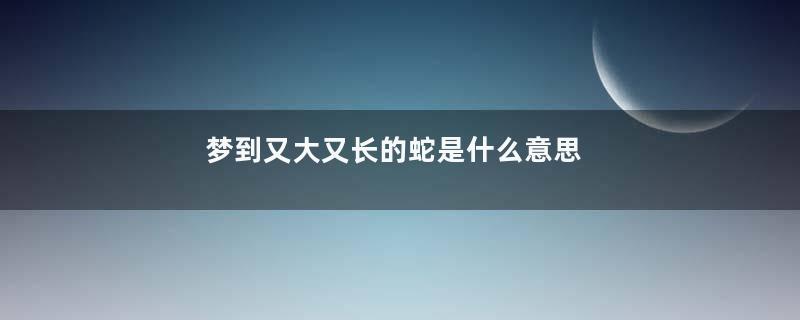 梦到又大又长的蛇是什么意思