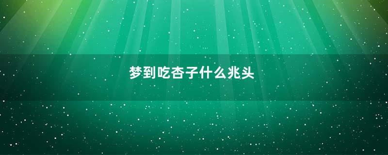 梦到吃杏子什么兆头