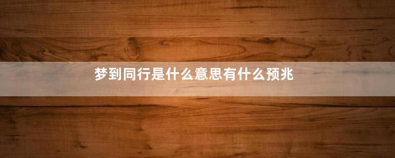 梦到同行是什么意思有什么预兆是什么意思