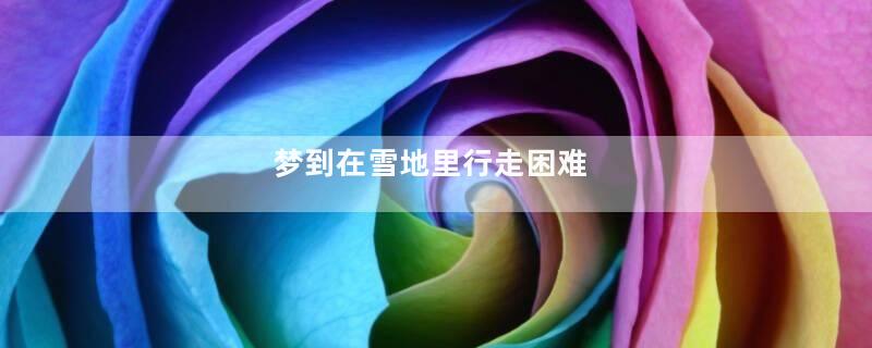 梦到在雪地里行走困难
