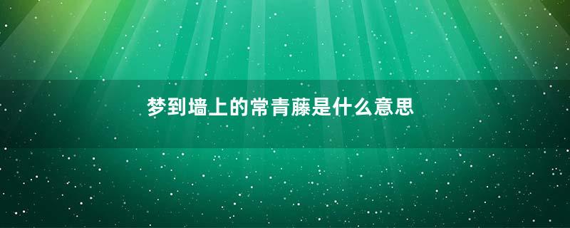 梦到墙上的常青藤是什么意思