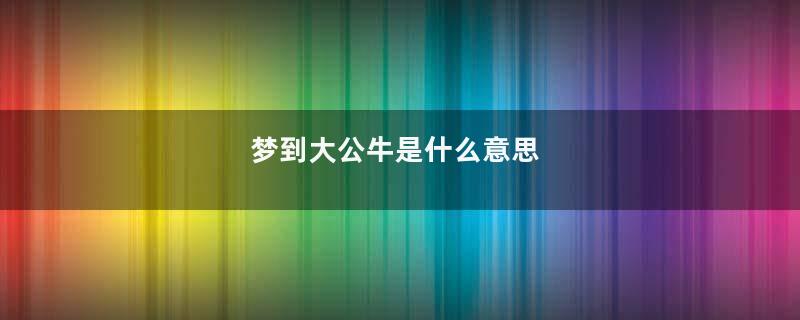 梦到大公牛是什么意思