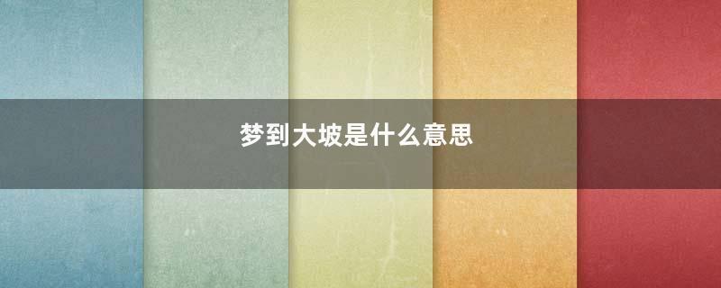梦到大坡是什么意思