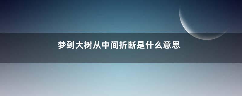 梦到大树从中间折断是什么意思