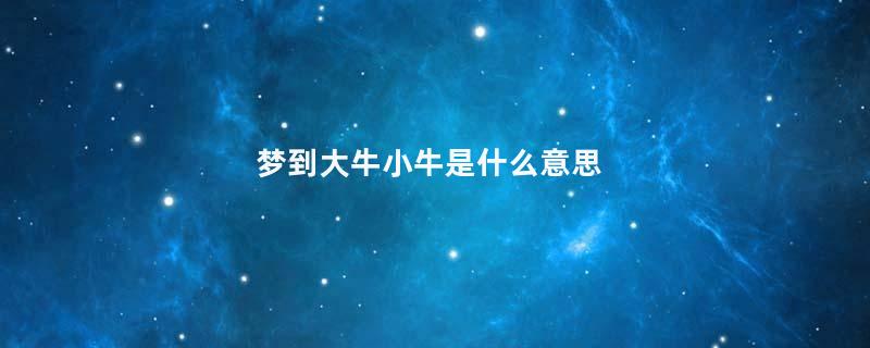 梦到大牛小牛是什么意思