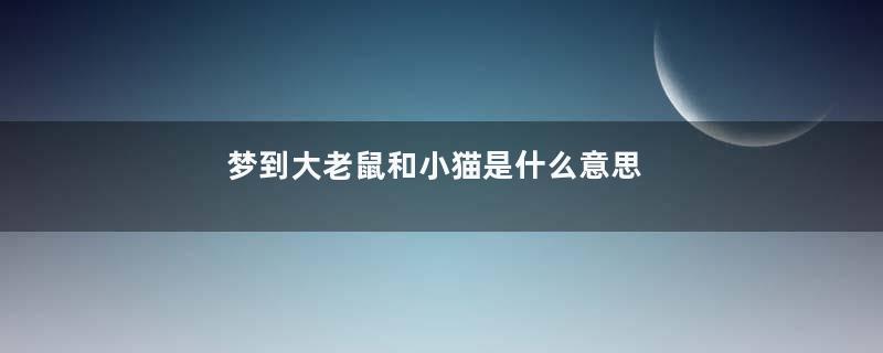 梦到大老鼠和小猫是什么意思