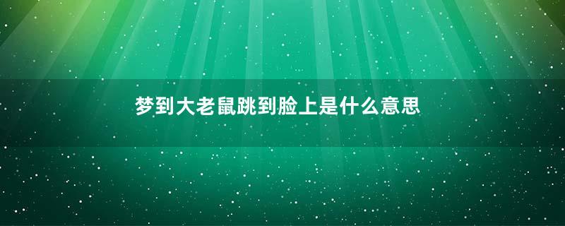 梦到大老鼠跳到脸上是什么意思