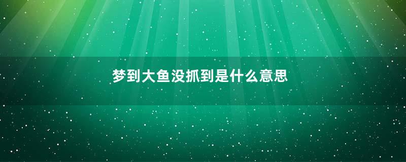 梦到大鱼没抓到是什么意思