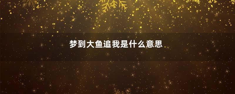 梦到大鱼追我是什么意思
