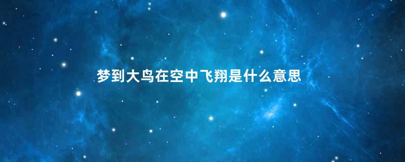 梦到大鸟在空中飞翔是什么意思
