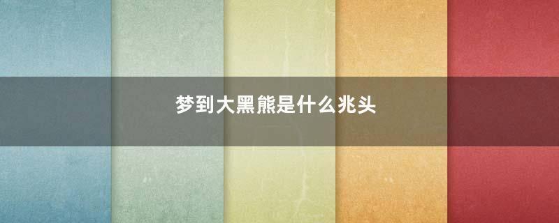 梦到大黑熊是什么兆头