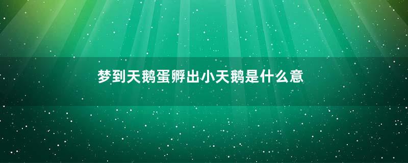 梦到天鹅蛋孵出小天鹅是什么意思