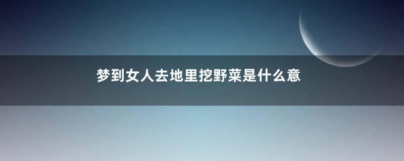 梦到女人去地里挖野菜是什么意思
