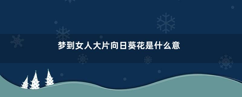 梦到女人大片向日葵花是什么意思