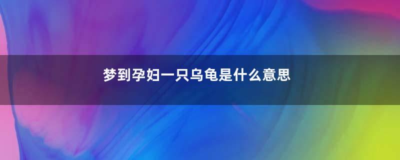 梦到孕妇一只乌龟是什么意思