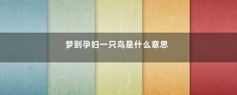 梦到孕妇一只鸟是什么意思