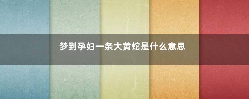 梦到孕妇一条大黄蛇是什么意思