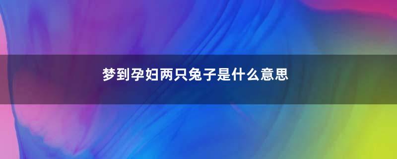 梦到孕妇两只兔子是什么意思