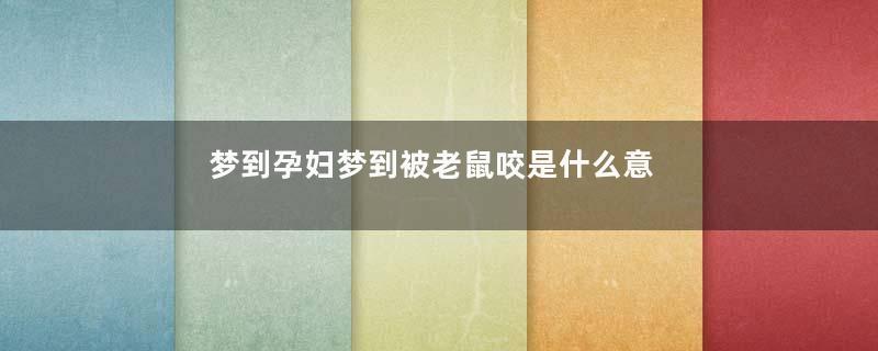 梦到孕妇梦到被老鼠咬是什么意思