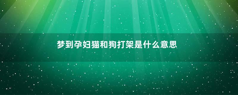 梦到孕妇猫和狗打架是什么意思