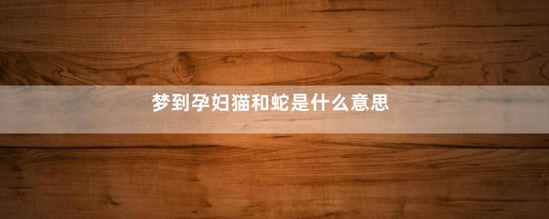 梦到孕妇猫和蛇是什么意思