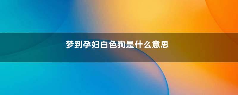 梦到孕妇白色狗是什么意思