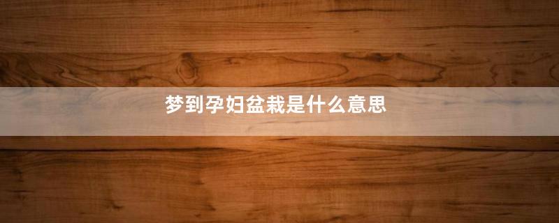 梦到孕妇盆栽是什么意思